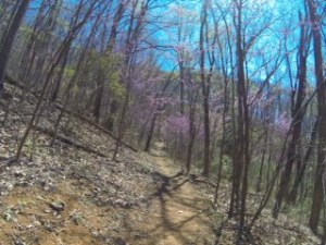 "Here lay the start of the winding way"